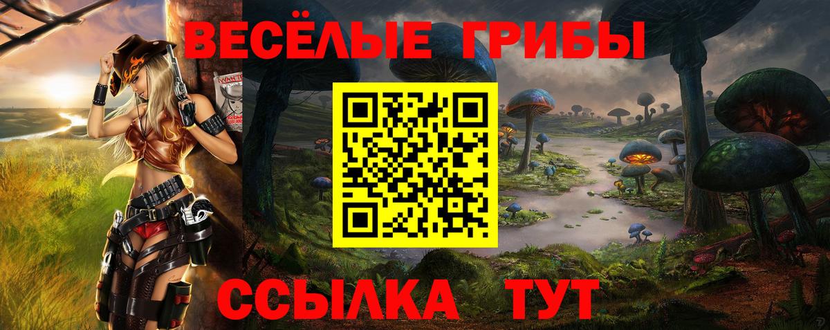 Псилоцибиновые грибы ЛСД Самара
